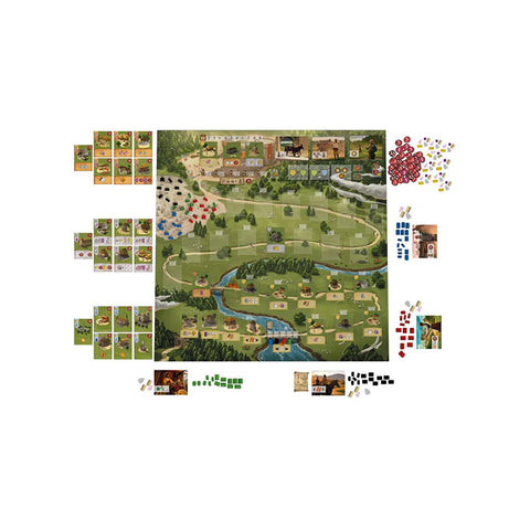 Caylus 1303