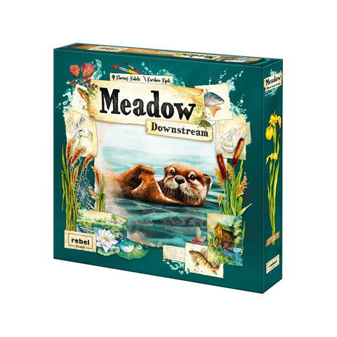 Meadow Downstream